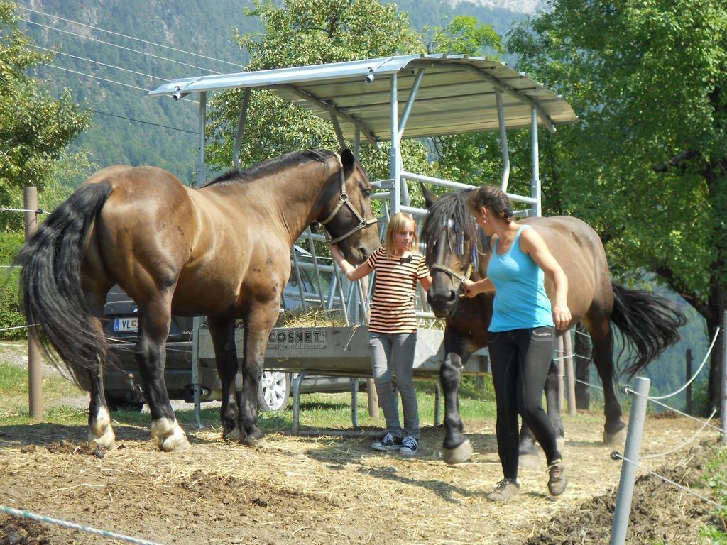 Ferienwohnung Andritsch Sankt Georgen im Gailtal Buitenkant foto