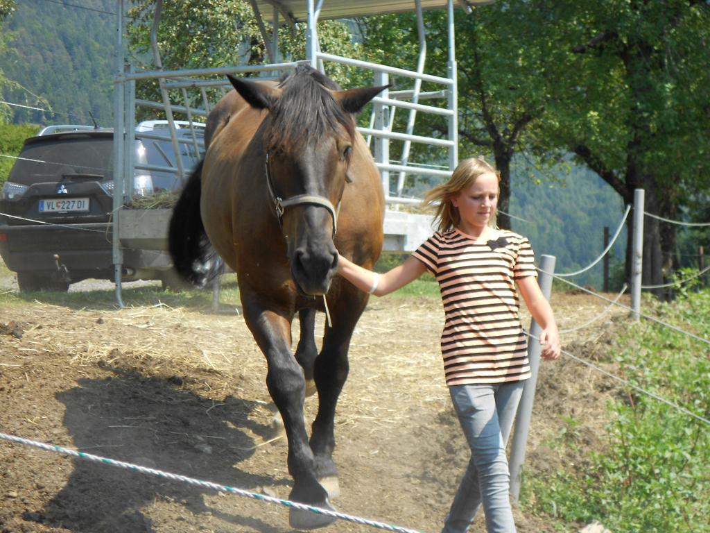 Ferienwohnung Andritsch Sankt Georgen im Gailtal Buitenkant foto