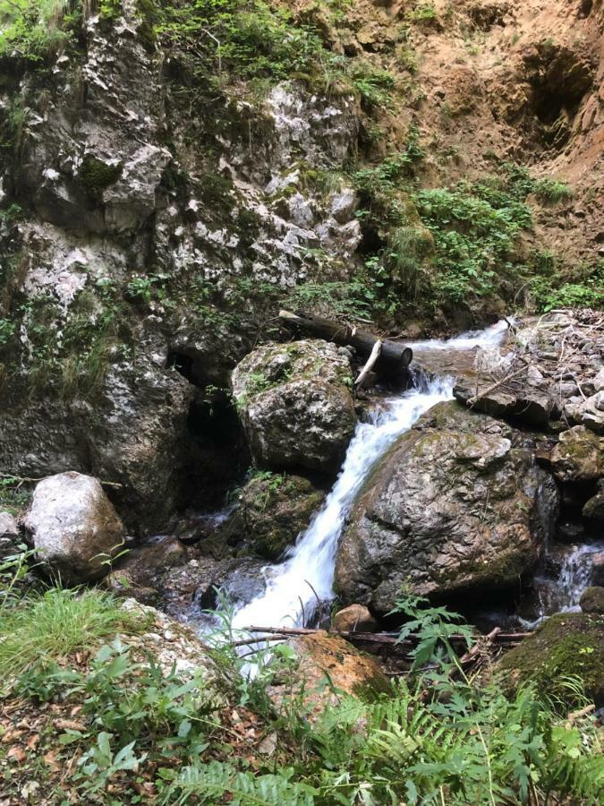 Ferienwohnung Andritsch Sankt Georgen im Gailtal Buitenkant foto