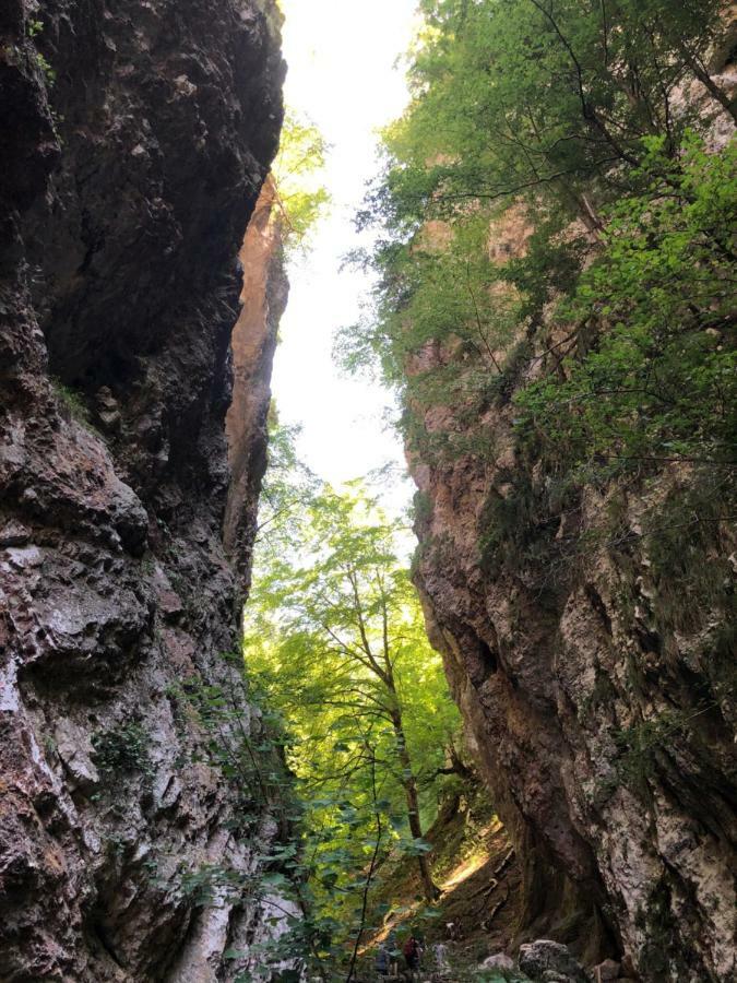 Ferienwohnung Andritsch Sankt Georgen im Gailtal Buitenkant foto